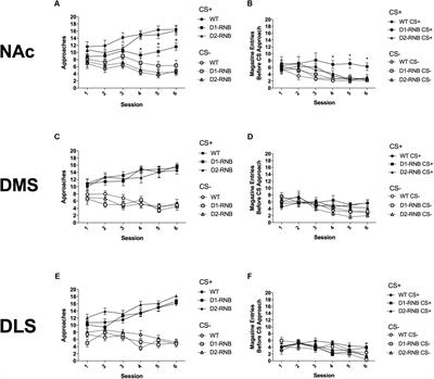 Nucleus Accumbens Dopamine D1-Receptor-Expressing Neurons Control the Acquisition of Sign-Tracking to Conditioned Cues in Mice